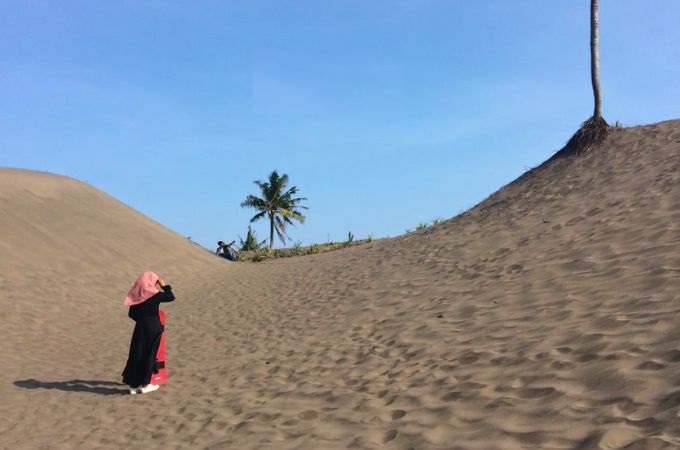 Sampel Gambar