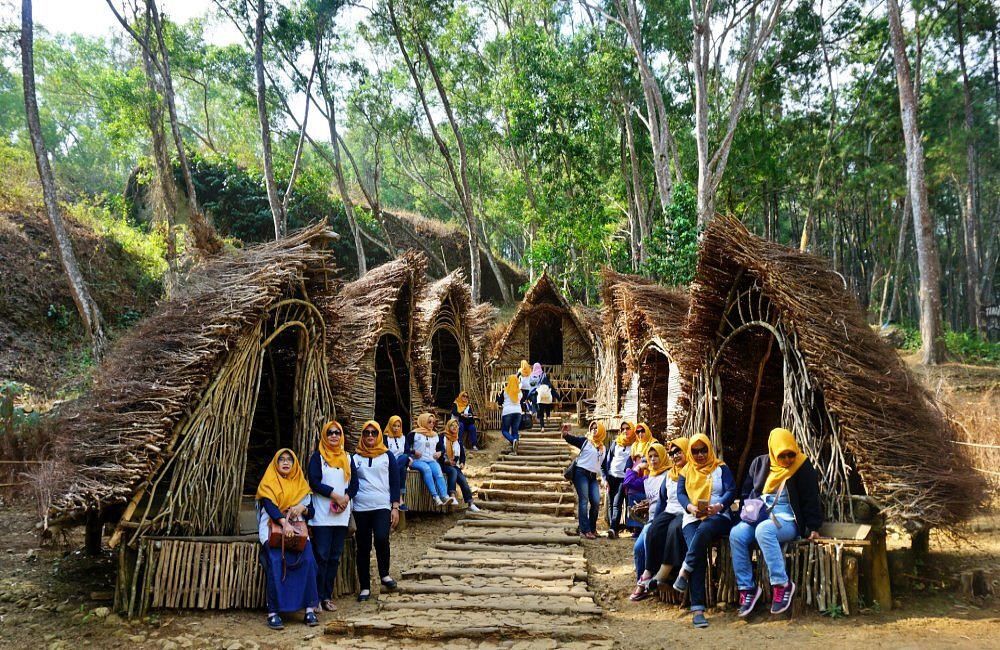Sampel Gambar